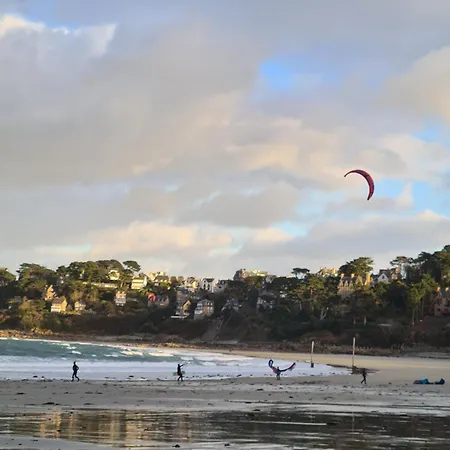 Macareux * Perros-Guirec